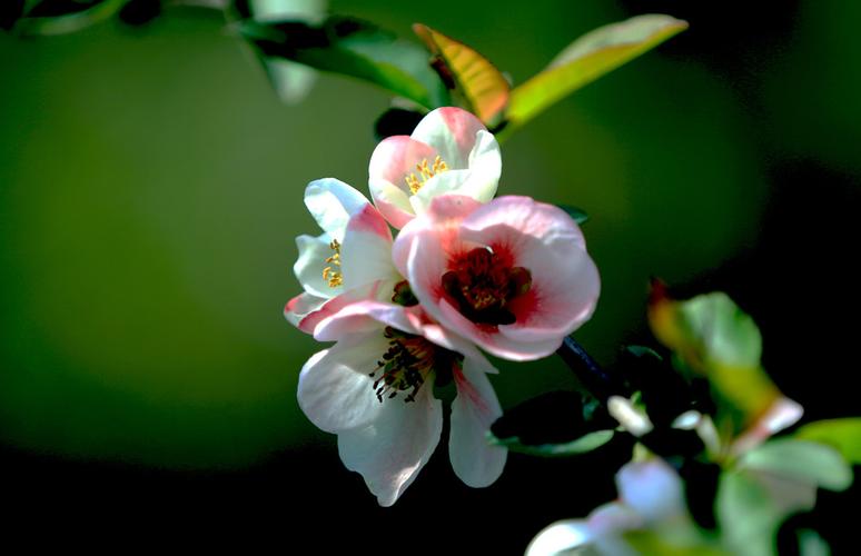 沧州东芝维修站_沧州东芝维修站电话