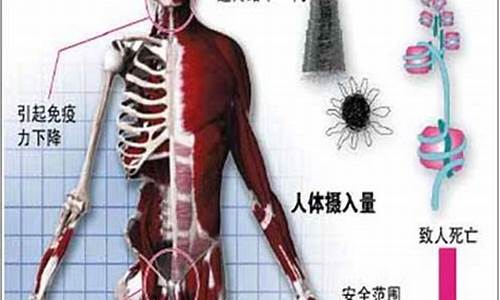 冰箱辐射对人体的伤害有多大_冰箱辐射对人体的伤害有多大-_1