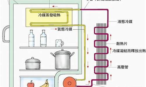 电冰箱的工作原理和工作过程报告_电冰箱的工作原理和工作过程报告怎么写